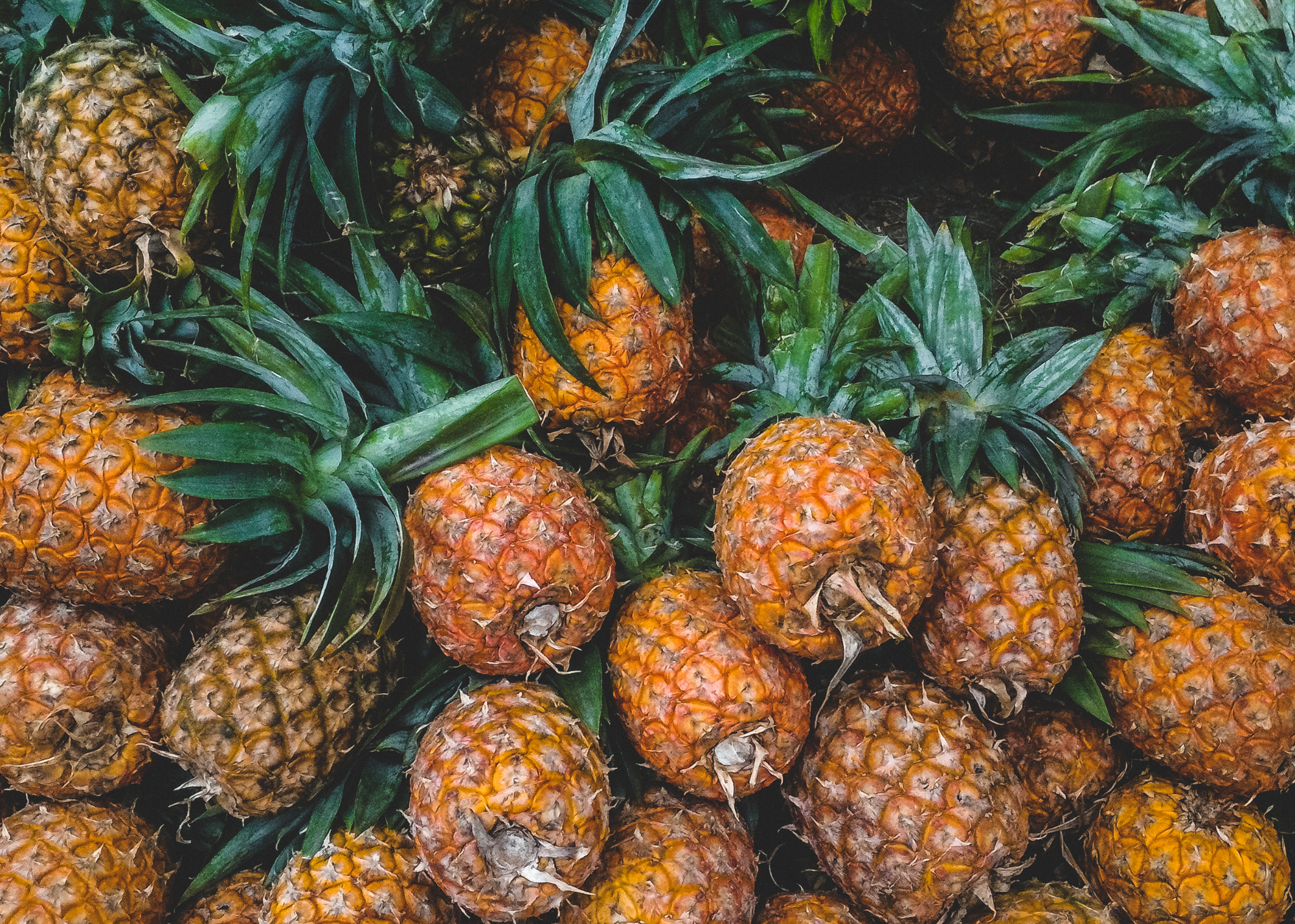 USDA pineapple import expansion 2026